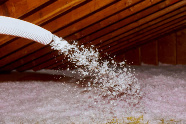 Types of Insulation We Offer in North Myrtle Beach, SC
