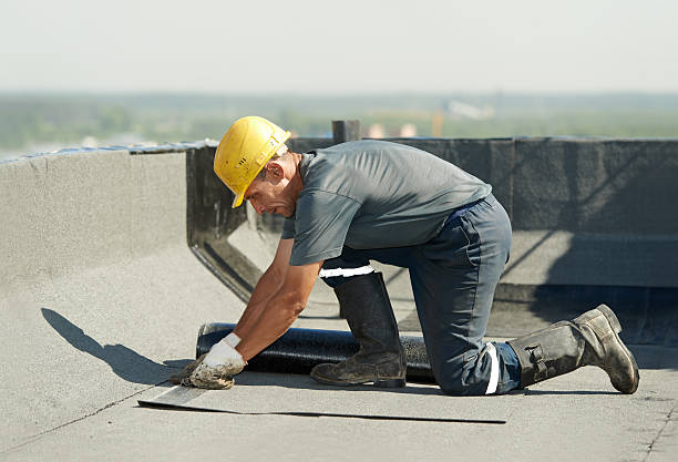 Best Residential Insulation in North Myrtle Beach, SC